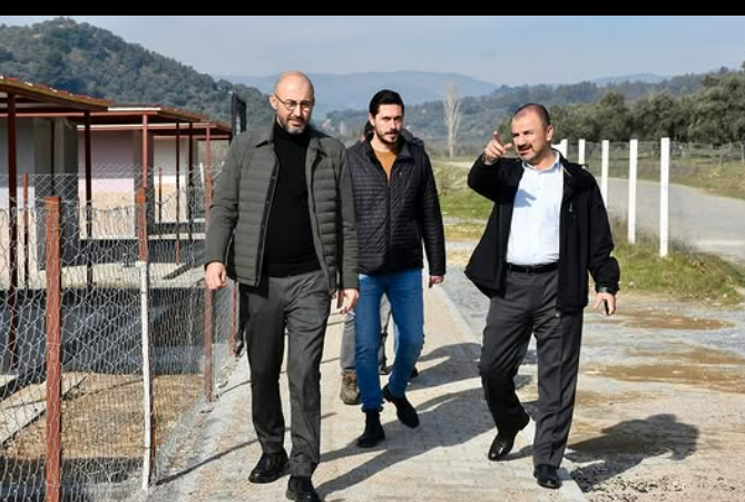 Hayvan Barınağı
